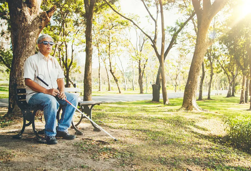 AI Image Recognition & MNIST